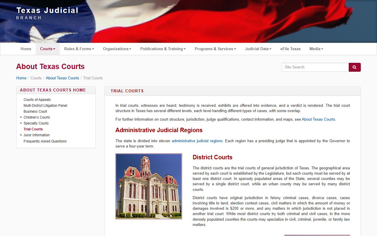 Texas trial courts overview for Hidalgo County District Court